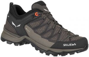 Turistická obuv Salewa  Mtn Trainer Lite GTX 61362-7517